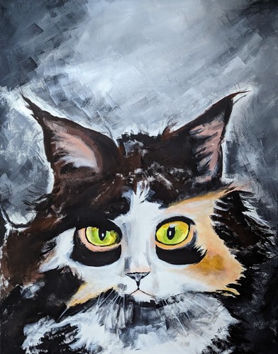 Quadro gatto collezione - da,