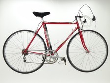 Bici da strada Francesco Moser