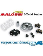 Variatore multivar 2000 - variatore,