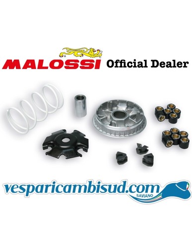 Variatore multivar 2000 - variatore,