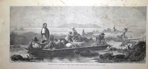 Stampa antica latina - antica, paludi