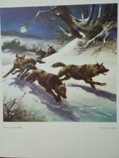 'Lupi', Roberto Lemmi