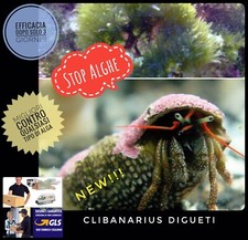 Pack paguri pulitori stop - pulitori,