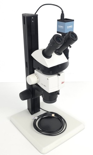 Leica m80 microscopio stereo - microscopio,
