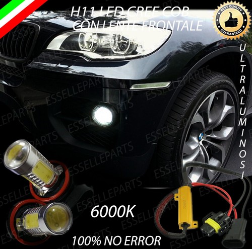 Coppia lampade fendinebbia h11 - coppia,