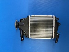 RADIATORE ACQUA RADIATOR HONDA PCX 125 DAL 2012 AL 2015 NUOVO ORIGINALE