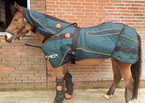 Bemer vet premium set horse - premium,