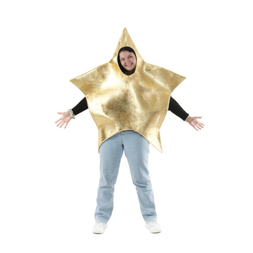 Christmas star adults - star, fancy