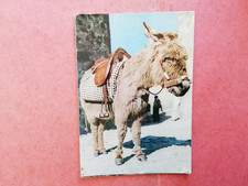 postcard Sardinia donkey Sardo