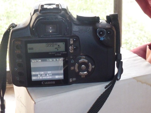 Canon eos digital - digital, 8,0