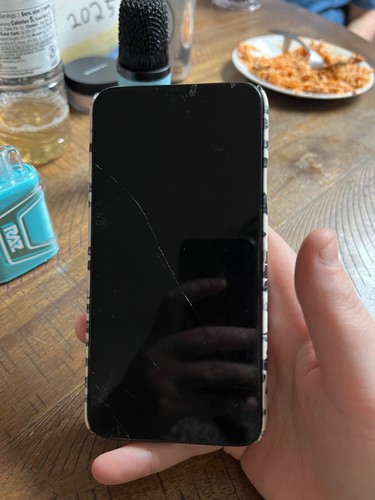 Apple iphone pro max with - max,