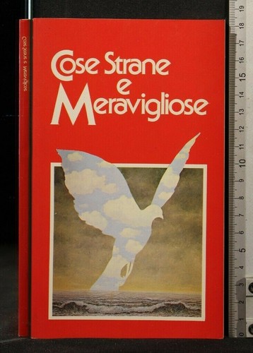 Cose strane meravigliose - e,