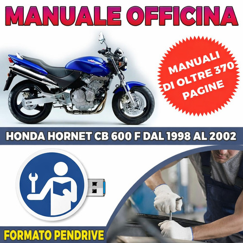 Manuale officina pendrive - manuale,