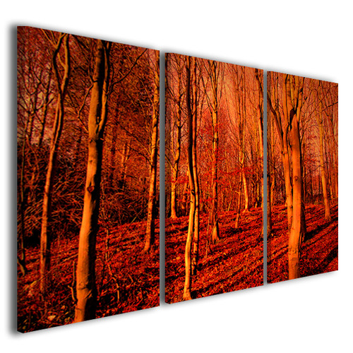 Quadro tramonto bosco