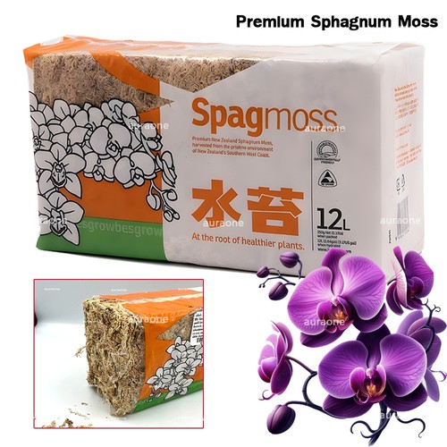 Sphagnum muschio spagmoss - sphagnum,