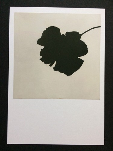 Jannis kounellis biglietto - jannis,
