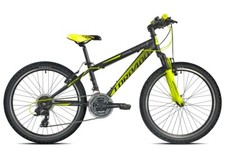 Bici ragazzo 24" MTB TORPADO