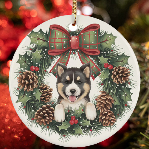Carino bambino akita inu cane - akita,