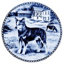 Australian Cattle Dog