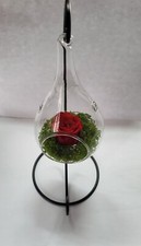 Rosa Rossa Stabilizzata Eterna