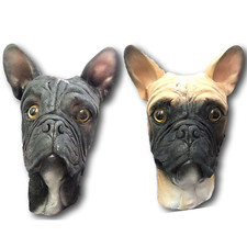 Bulldog francese maschera - bulldog,