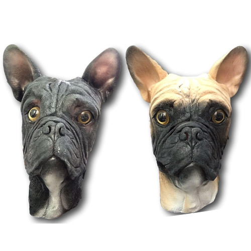 Bulldog francese maschera - bulldog,