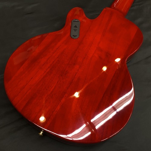 Katamalazoo kn6 sunburst basso - kn6,