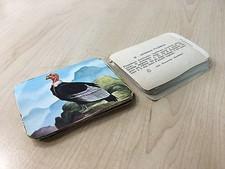 67617 FgA - Lotto 75 Figurine