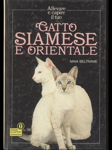 Gatto siamese orientale - gatto,
