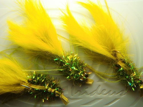 Mosche gamberi irideus - , fitz