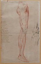 DISEGNO Antico Ante Humain