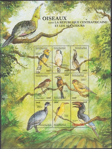 Africa centrale 2000 - , uccelli