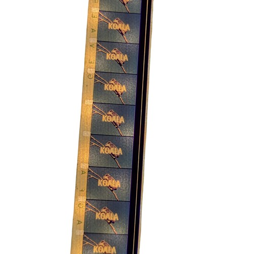 16mm film koala - film, j