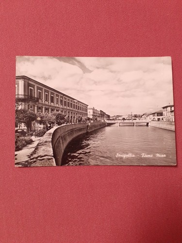 Cartolina senigallia fiume - ,