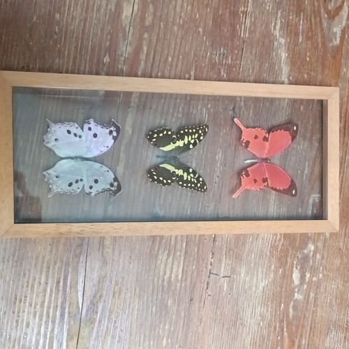 Teca legno vetro - legno, 3