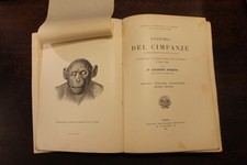 Sperino anatomia del - g., sperino,