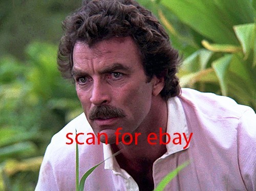 Magnum tom selleck foto - tom,