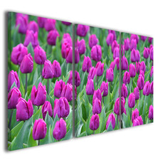 Holland Tulips Flower Canvas