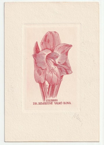 Arpad daniel nagy exlibris - daniel,