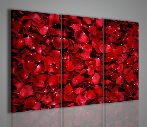 Quadri moderni red rose - quadri,