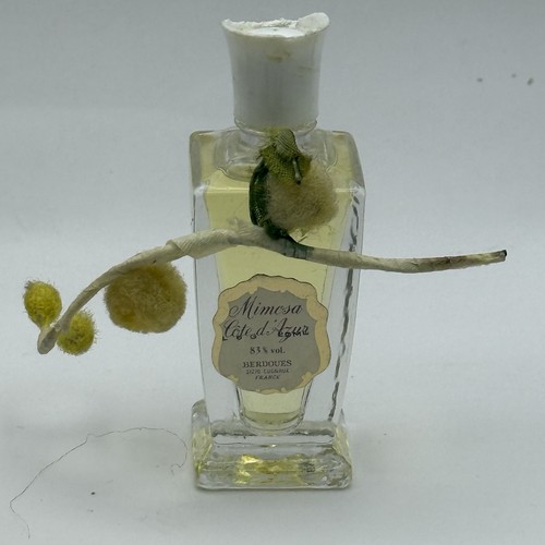 Berdoues mimosa cote azur - berdoues,