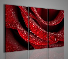 QUADRI MODERNI PARTICULAR ROSE