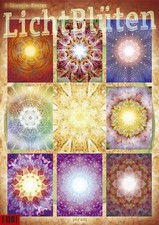 Fiori leggeri. 9 Mandali