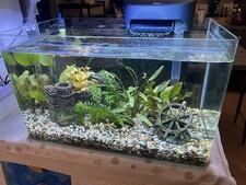 SOLO VASCA acquario