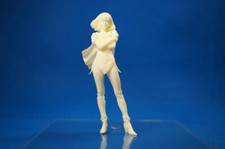 Kit resina 390 1/20 Gundam