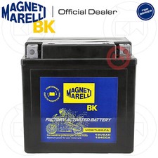 Batteria magneti marelli - batteria,