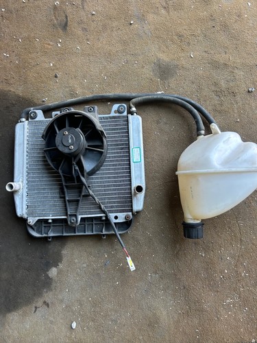 Gruppo radiatore piaggio x10 - gruppo,