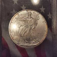 Moneta Argento Usa 1 Dollaro