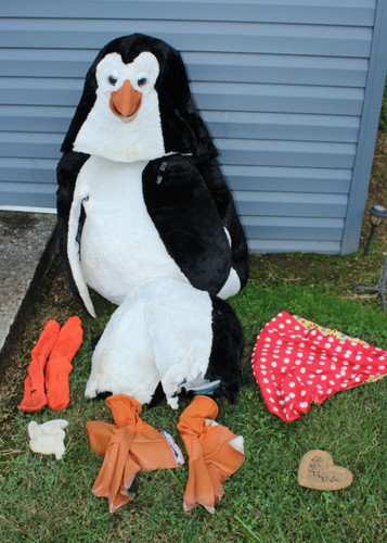 Penny pinguino sciworks - il,