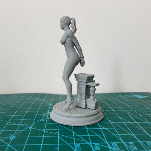 Statuina resina scala 24 - scala, 1/24